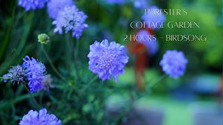 2 Hours Relaxing Forester's Cottage Garden | Summer Flowers & Bird Sounds (Vintage Biotar Lens)