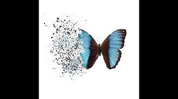 How to Create a SHATTER EFFECT for FREE - Easy Creative Idea in Canva