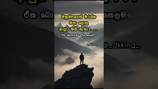 කතාව ඇත්ත නම් කමෙන්ට් කරන්න🥺🥀 wadan | Sinhala | WhatsApp status #wadan කතාව ඇත්ත නම් කමෙන්ට් කරන්න🥺🥀 wadan | Sinhala | WhatsApp status #wadan