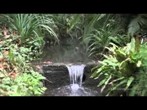 ყურანი ქართულ ენაზე 31