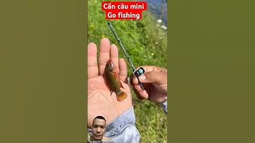 Go fishing cần siêu mini bỏ túi #fishing #bassfishing #fish #lure #carpfishing