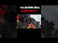 北海道の水路ヤバい