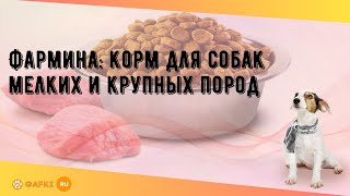 Фармина: корм для собак мелких и крупных пород