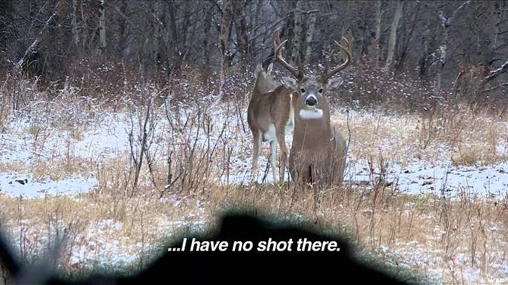 Live 2 Hunt - North Winds