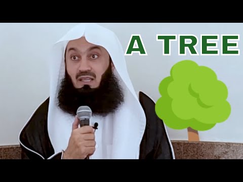 What happens when you Plant a Tree 🌳  - Mufti Menk