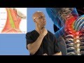 90-Second Relief Technique for a Stiff Neck (Wry Neck, Torticollis) - Dr Mandell