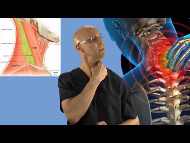 90-Second Relief Technique for a Stiff Neck (Wry Neck, Torticollis) - Dr Mandell class=