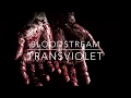 Bloodstream- Transviolet Lyrics