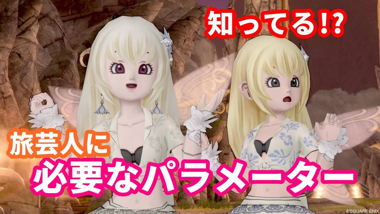 旅芸人に必要なパラメーターの数値【ドラクエ10】てぃあのちいさな冒険日記