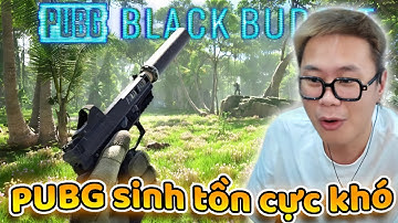 HÔM NAY A SNAKE ON STREAM...