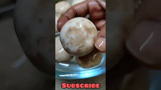 Kya mushroom ko aise dhona zaroori hai Mushroom Recipe shorts viral food indiansnack