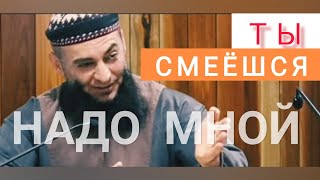 История |СУЛТАН и БАХЛУЛ...!   #напоминание #история #ислам