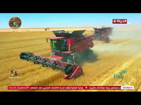 أهل بلدنا | مع مها موسى | 9 أكتوبر 2026 - الحلقة الكاملة