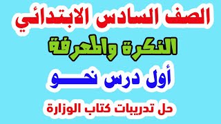 النكرة والمعرفة للصف السادس الابتدائي لغة عربية الترم الأول 2024 حل تدريبات كتاب الوزارة