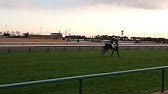 ラガーレグルスの競馬史に残る大出遅れ２本 Youtube