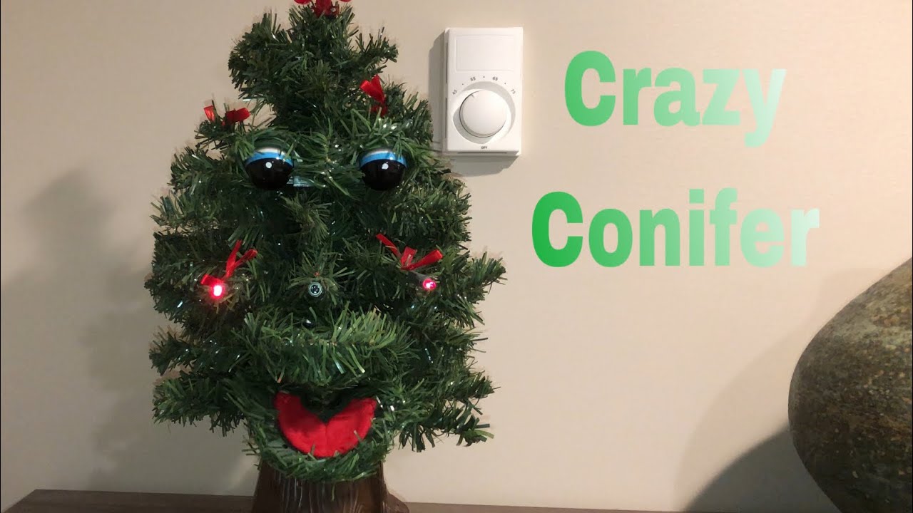 ‘Crazy Conifer’ Singing Christmas Tree YouTube