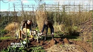 Tailler et replanter un pommier - Silence, ça pousse !