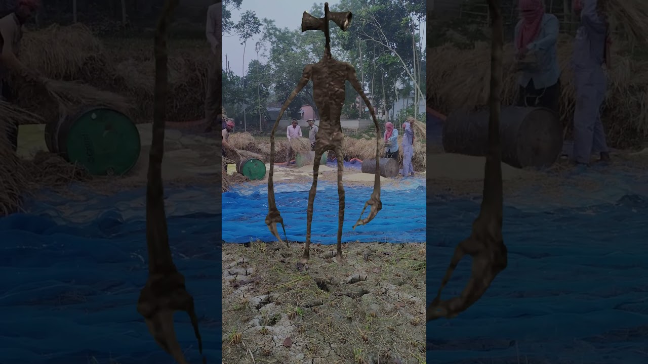 sairen head paddy thrising | Mike bhoot