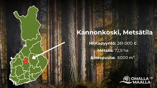 Myynnissä hyvän mallinen ja hyvin saavutettavissa oleva metsätila Kannonkoskella 🌲