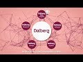 Dalberg data insights conscious data for a better world