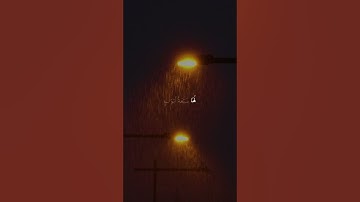 #قران_كريم #قرآن #سورة #تلاوة_خاشعة #تلاوة #تلاوات #المنشاوي