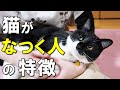 猫がなつくのはどんな人？猫がなつく人の特徴となつかせるコツについて解説【保護猫】