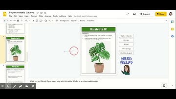 Photosynthesis Stations   Google Slides