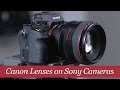 Before You Use Canon Lenses on a Sony Camera...