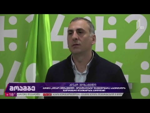#არჩევნები2020 პარტია „მოქალაქის“ პროგრამა