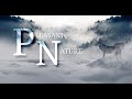 #pleasantnature #pnalbum PN Danheim-Herja (Full Album)- Viking War Songs