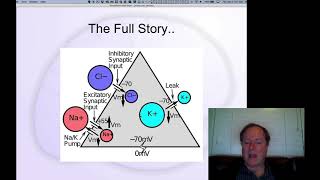 CCN Course 2020, Neuron 11: Ions