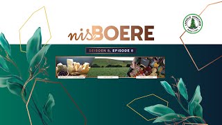 Nisboere 8 Episode 08