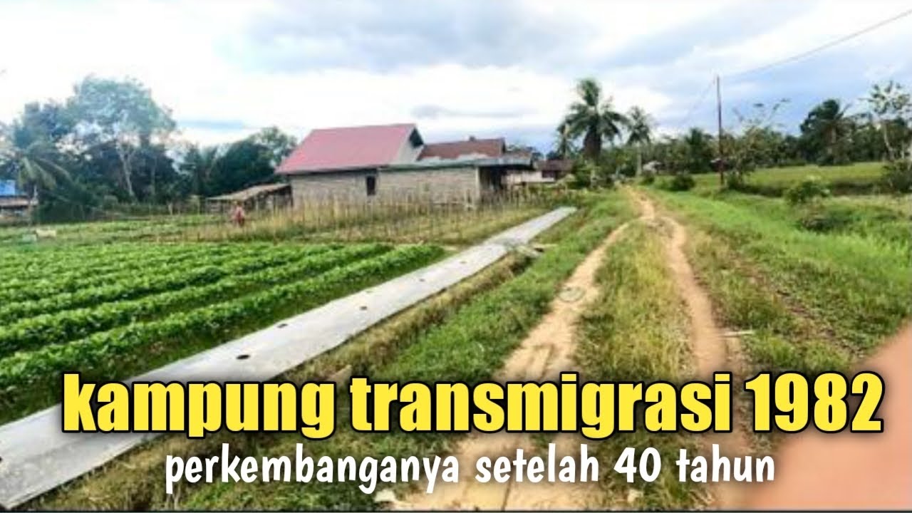 Perkembangan Kampung transmigrasi sp1 sekadau Kalimantan barat