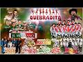 QUEBRADITA 90'S PARA BAILAR | BANDA MIX " Banda El Mexicano , Banda Machos, Toro , Zeta ...y Más "