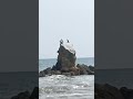 Одесса онлайн,пляж Фонтанки,май 2023