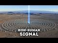 They Are Building Something Unbelievable in Nevada
