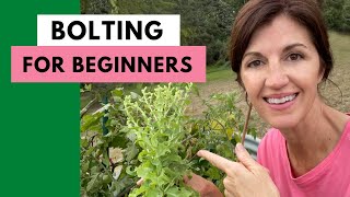 What is BOLTING? - A Look at Bolting Lettuce, Spinach, and Cilantro