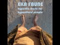 Eka faune  hypnotic music for hypnotized people full album