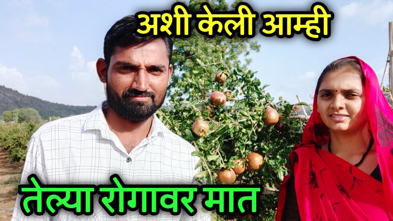 आमची शेती Vlog || डाळिंब तेल्या रोग नियोजन || Villagers life || तेल्या रोगावर केली मात ||#शेतीमळा