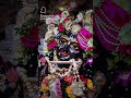 lord sriKrishna 💫✨️ #Krishna #Srikrishna #srikrishnaflute #govinda #harekrishna #krishnareels #flute