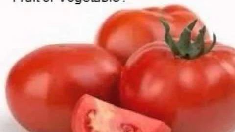 La Tomatina by Rebecca Engebretsen