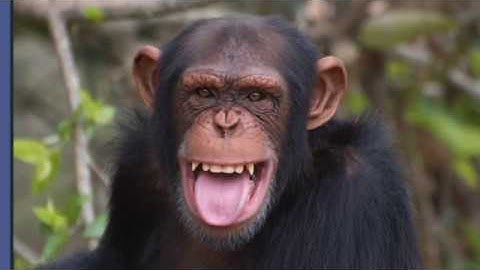 English --- Pathways 1 ---- Unit 2