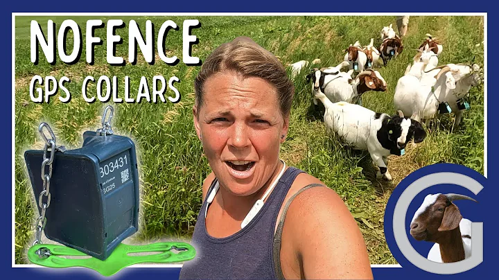 Nofence Virtual Fence Collars! Making my life easier with more GPS collars for the goats. -Vlog 78