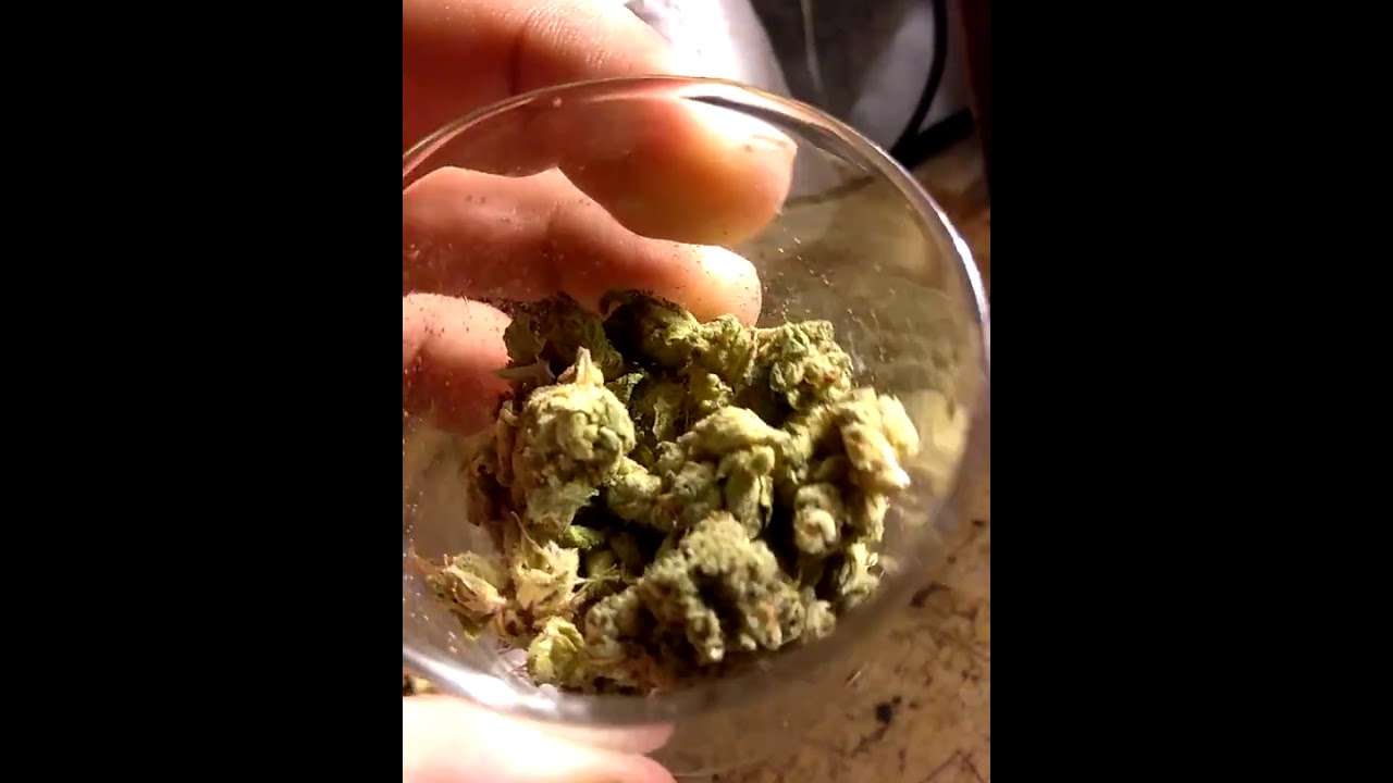 og kush quick vid✌