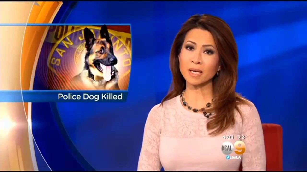 Law Enforcement Tribute - For You