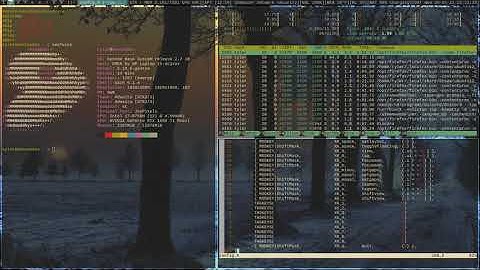 Efficient dwm keybindings