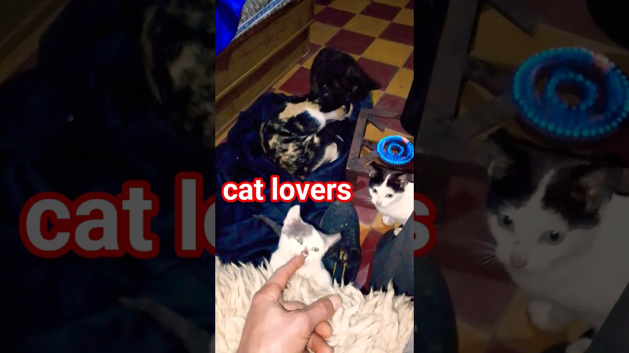 The best natural remedy for calming nerves