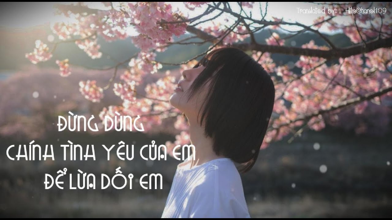 [Vietsub+Pinyin] Đừng dùng chính tình yêu của em để lừa dối em – Bàn Cầu Ngư 《别用我的爱来欺骗我》