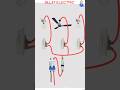 House Wiring me ponit Wiring kaise kare || House Wiring me board Wiring kaise kare