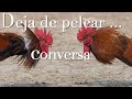 Deja de pelear...conversa